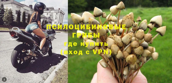 ALPHA-PVP Богородск