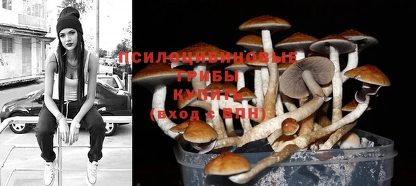 ALPHA-PVP Богданович