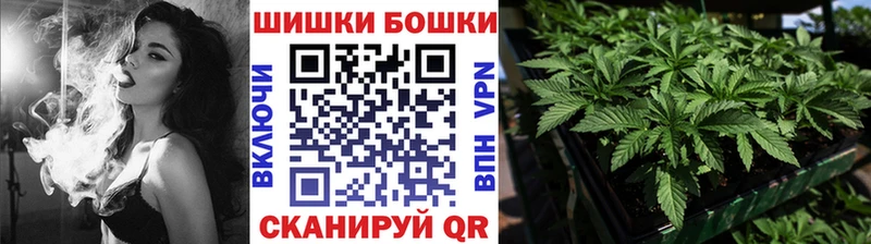 Купить  Починок  Конопля AK-47 